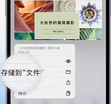 保山apple维修中心分享iPhone文件应用中存储和找到下载文件