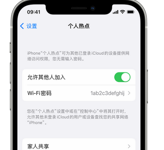 保山apple服务站点分享iPhone上个人热点丢失了怎么办