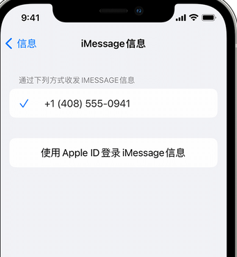 保山apple维修iPhone上无法正常发送iMessage信息 