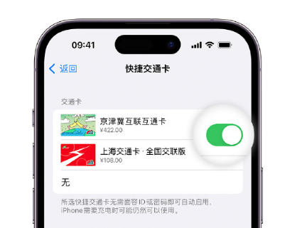 保山apple维修点分享iPhone上更换Apple Pay快捷交通卡手绘卡面 