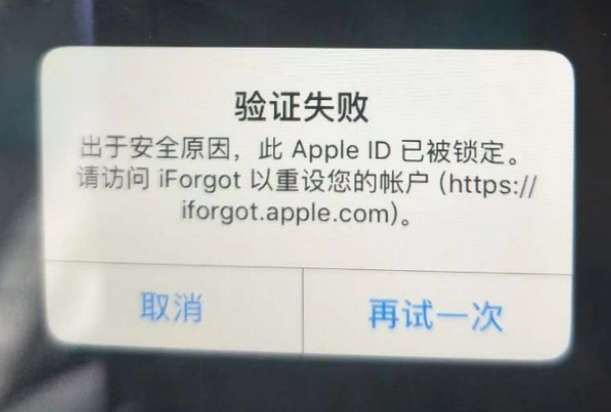 保山iPhone维修分享iPhone上正常登录或使用AppleID怎么办 