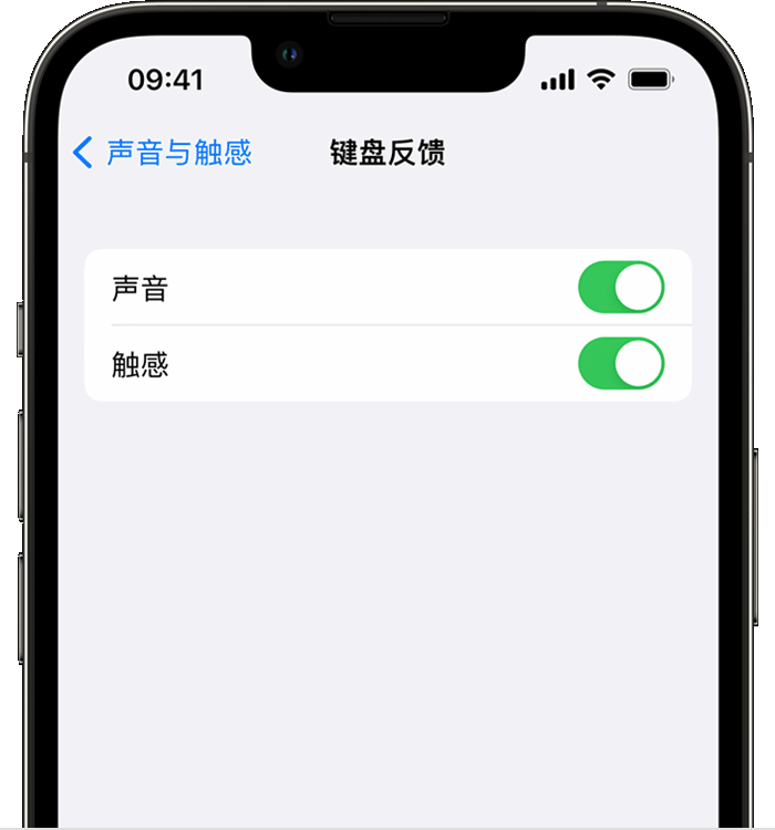 保山苹果14维修店分享如何在 iPhone 14 机型中使用触感键盘 