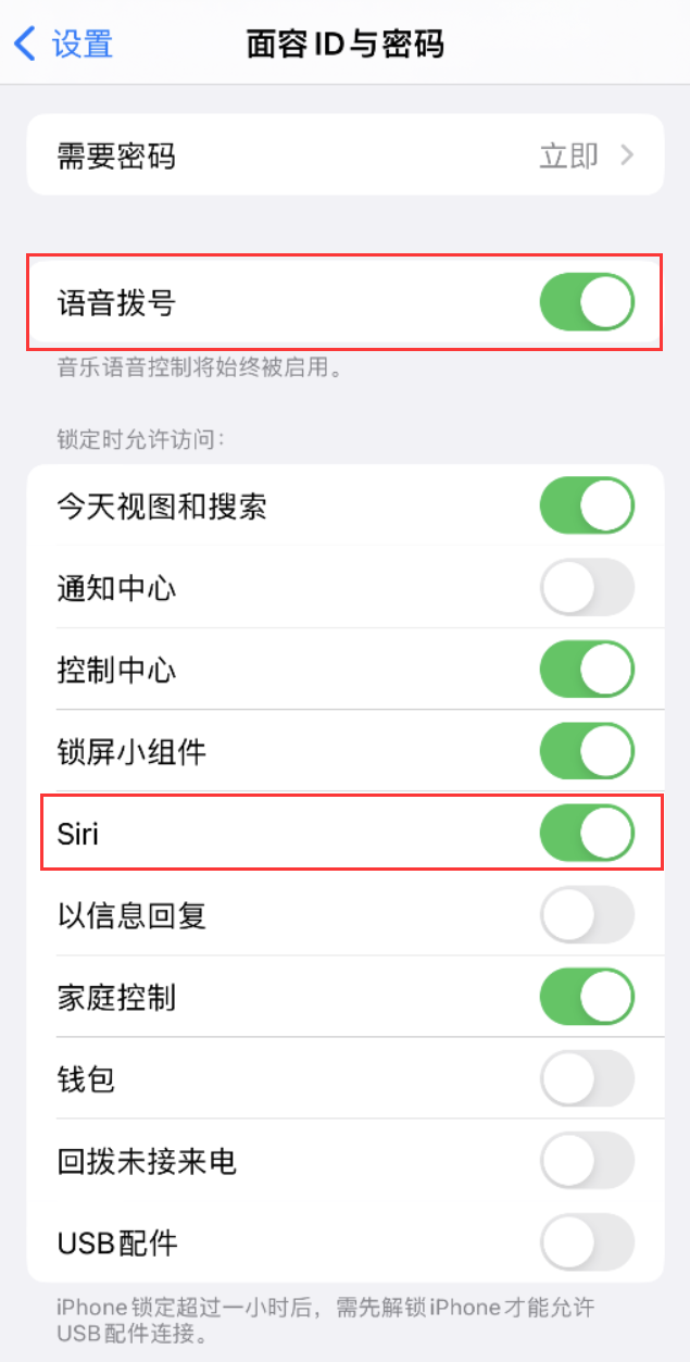 保山苹果维修网点分享不解锁 iPhone 的情况下通过 Siri 拨打电话的方法 