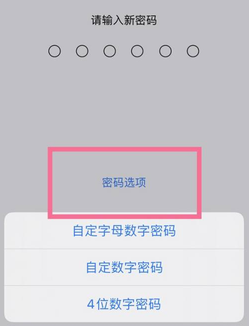 保山苹果14维修分享iPhone 14plus设置密码的方法 