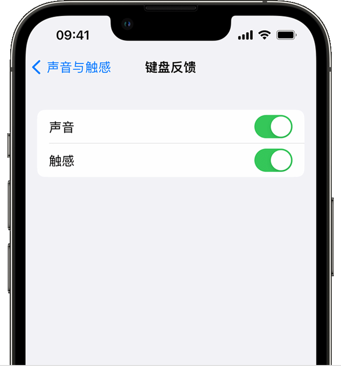 保山苹果14维修分享iPhone 14 系列机型如何开启键盘声音或触感反馈 