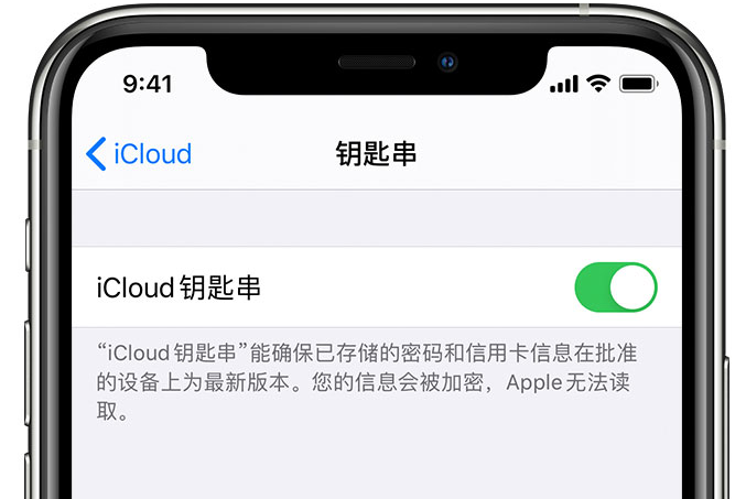 保山苹果手机维修分享在 iPhone 上开启 iCloud 钥匙串之后会储存哪些信息 