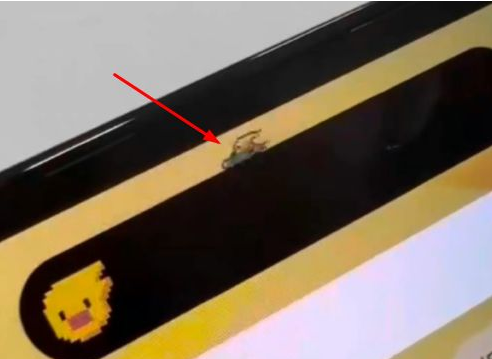 保山苹果14维修分享iPhone 14 Pro Max灵动岛怎么养宠物 