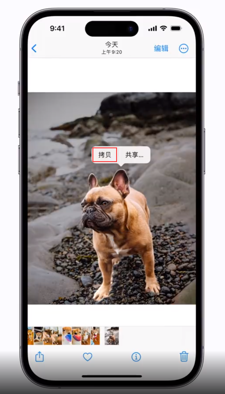 保山苹果手机维修分享 iOS 16 自带一键抠图功能 