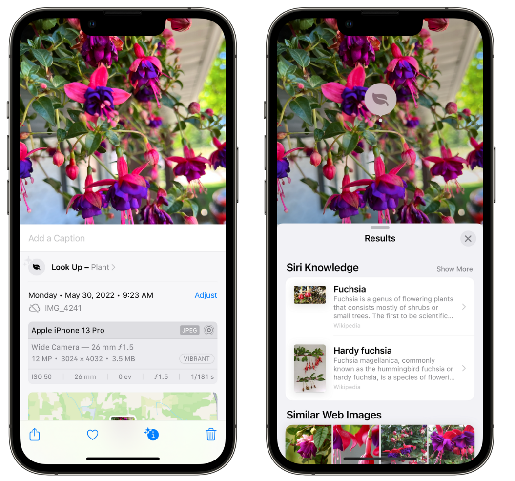 保山苹果手机维修分享小技巧：使用 iPhone 相机识别花卉植物 