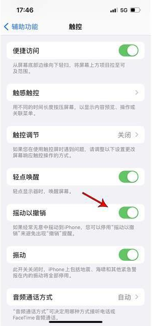 保山苹果手机维修分享iPhone手机如何设置摇一摇删除文字 