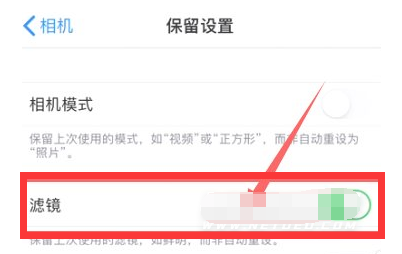 保山苹果13维修分享iPhone13拍照有绿点是怎么回事 