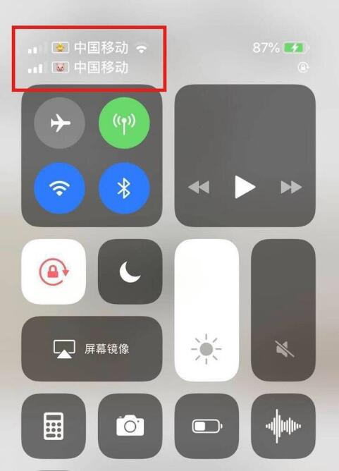 保山苹果手机维修分享为 iPhone 12 双卡设置标签 
