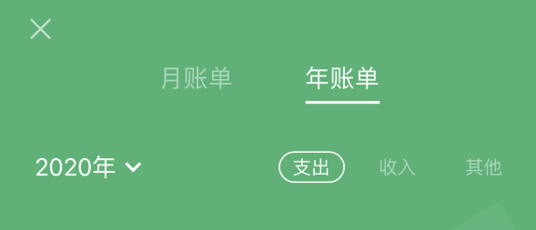 保山苹果手机维修分享如何在 iPhone 上查看支付宝和微信年支出账单 