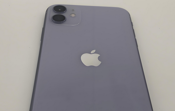 保山苹果11系统维修分享iPhone11手机系统崩溃无法开机如何解决 